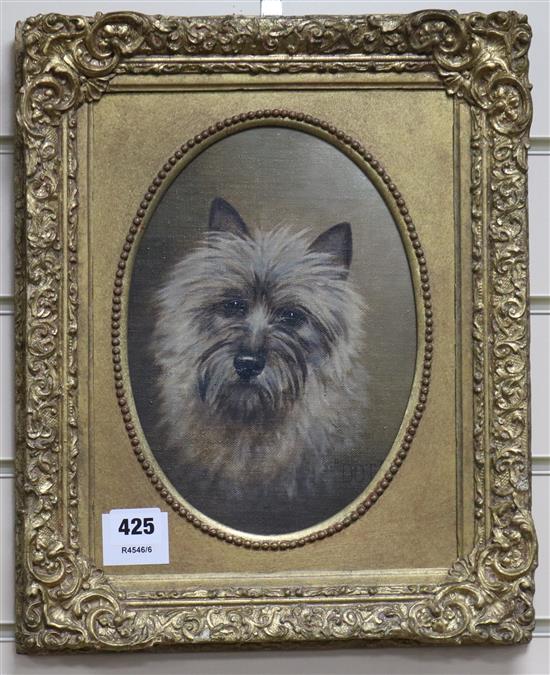 English School, oil on canvas board, portrait of a terrier Dot, 25 x 18cm